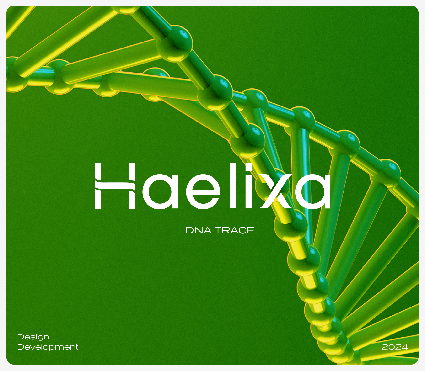 Haelixa | Case Study | Cover Image