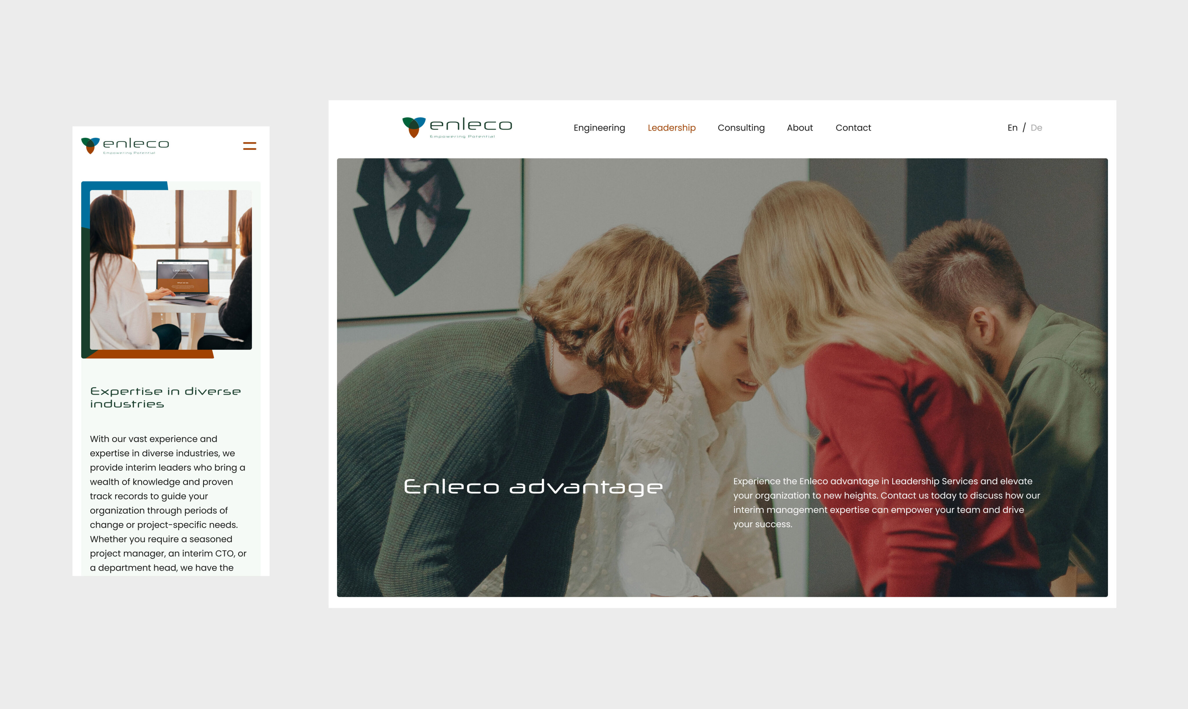 Website development for the Enleco | Case Studies