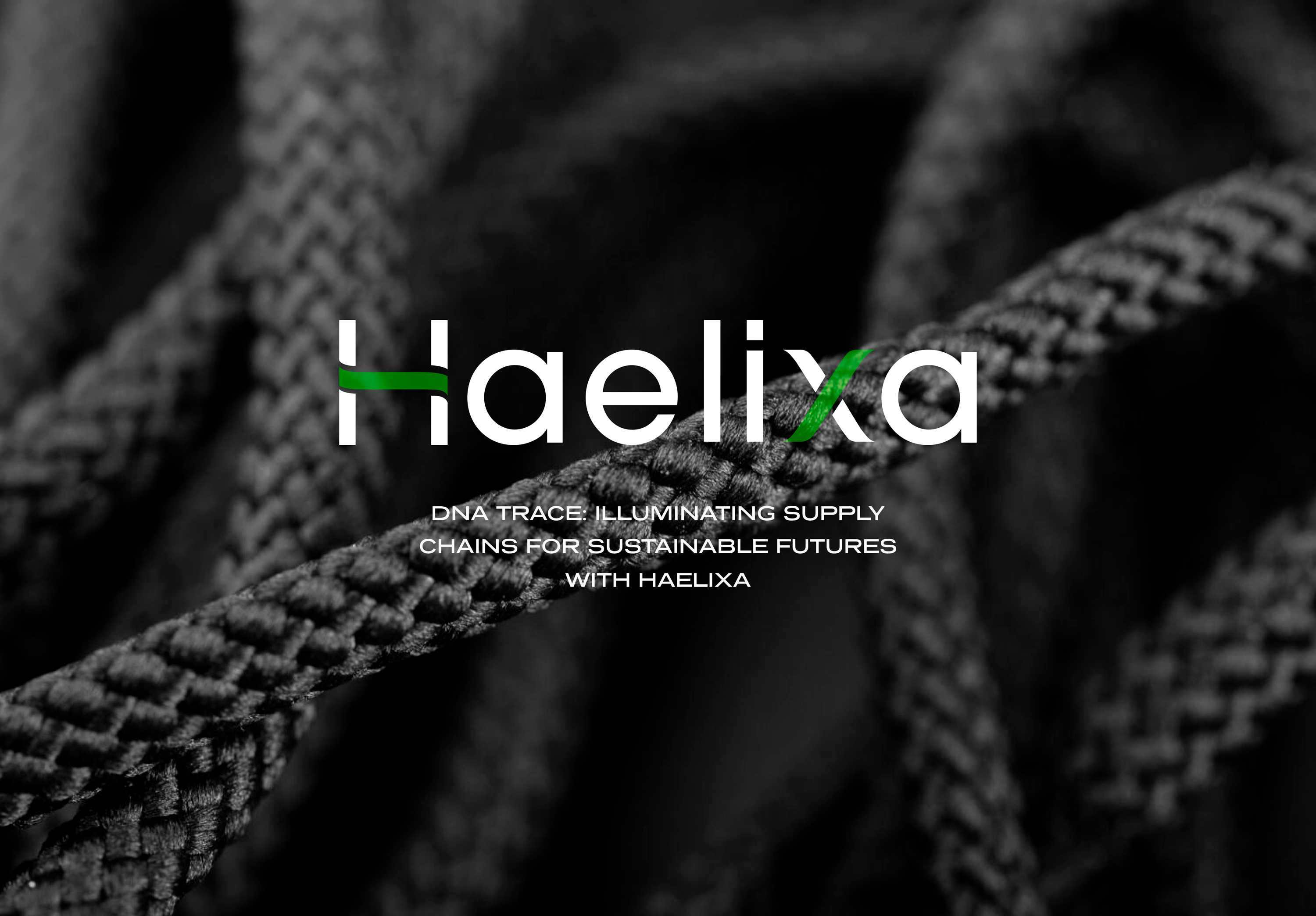 Haelixa | Hero image | Case Study