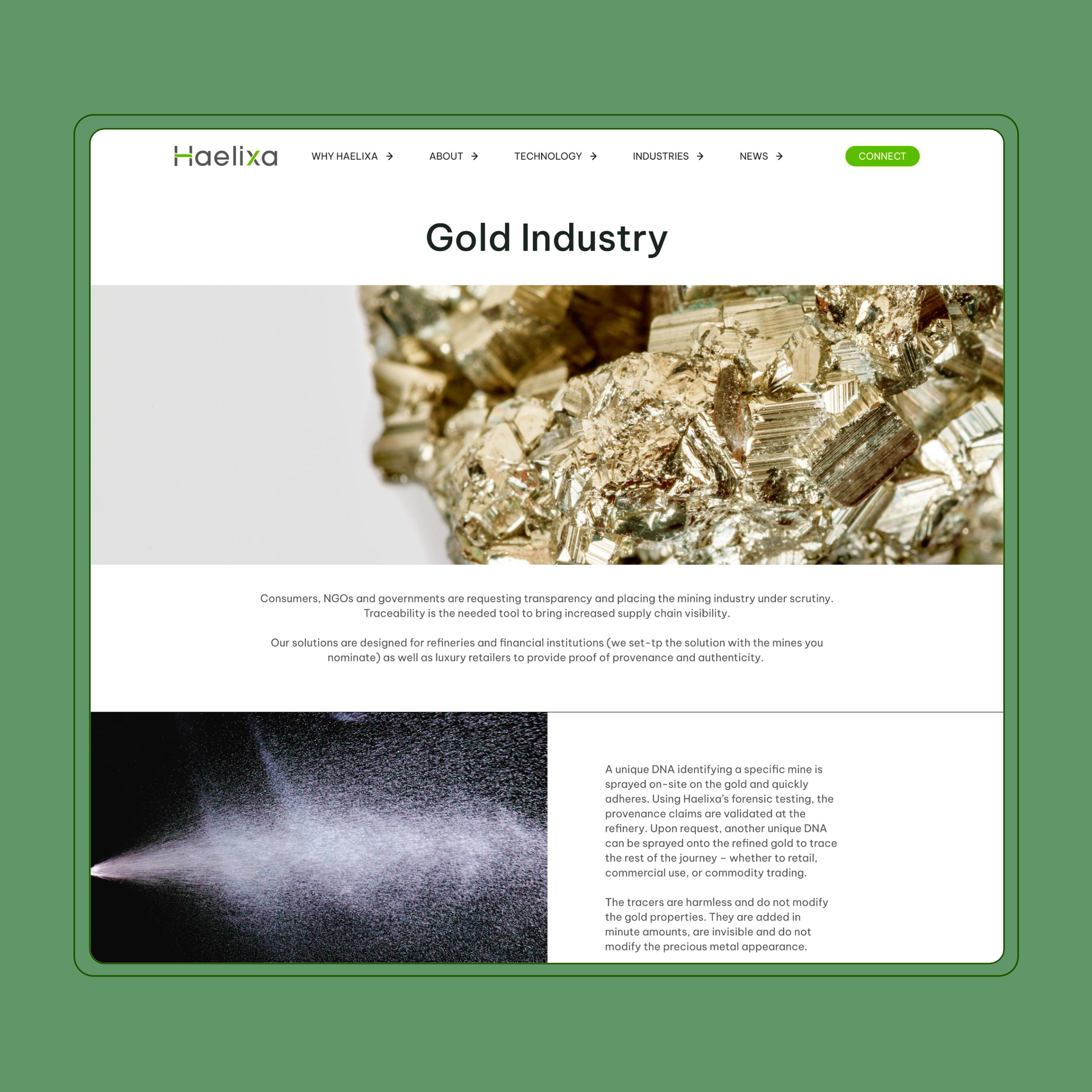 Website development for the Haelixa