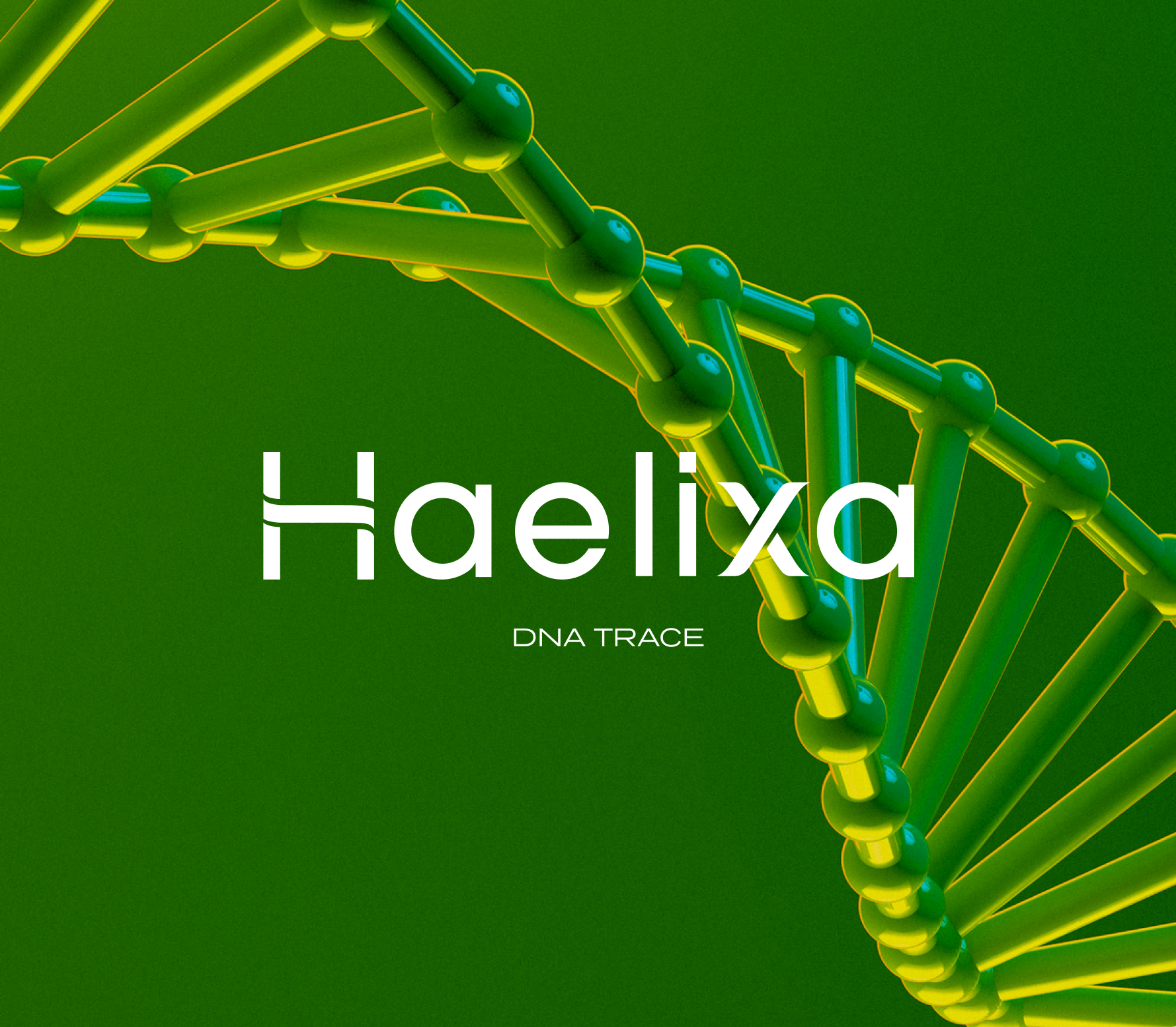 Haelixa | Case Study | Cover Image