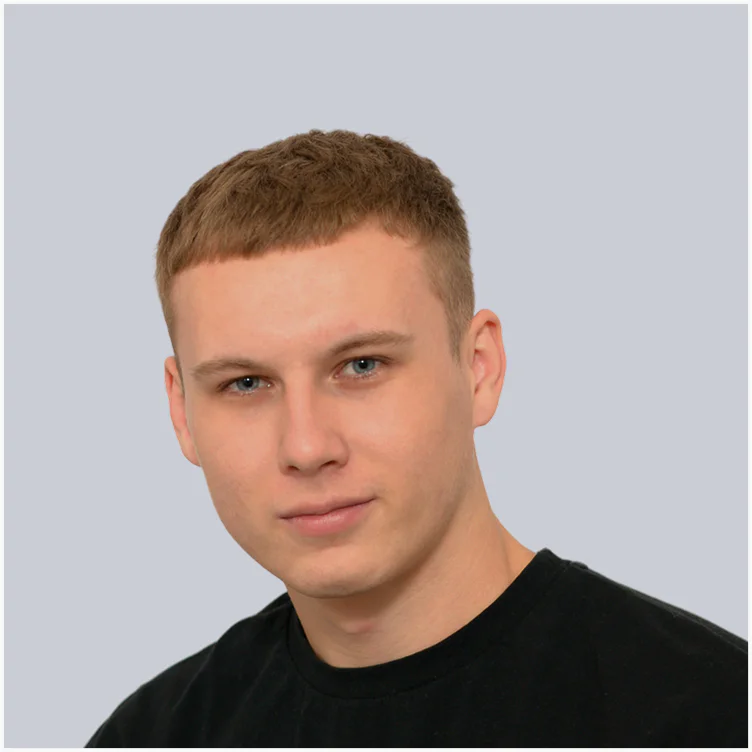 WordPress Developer
