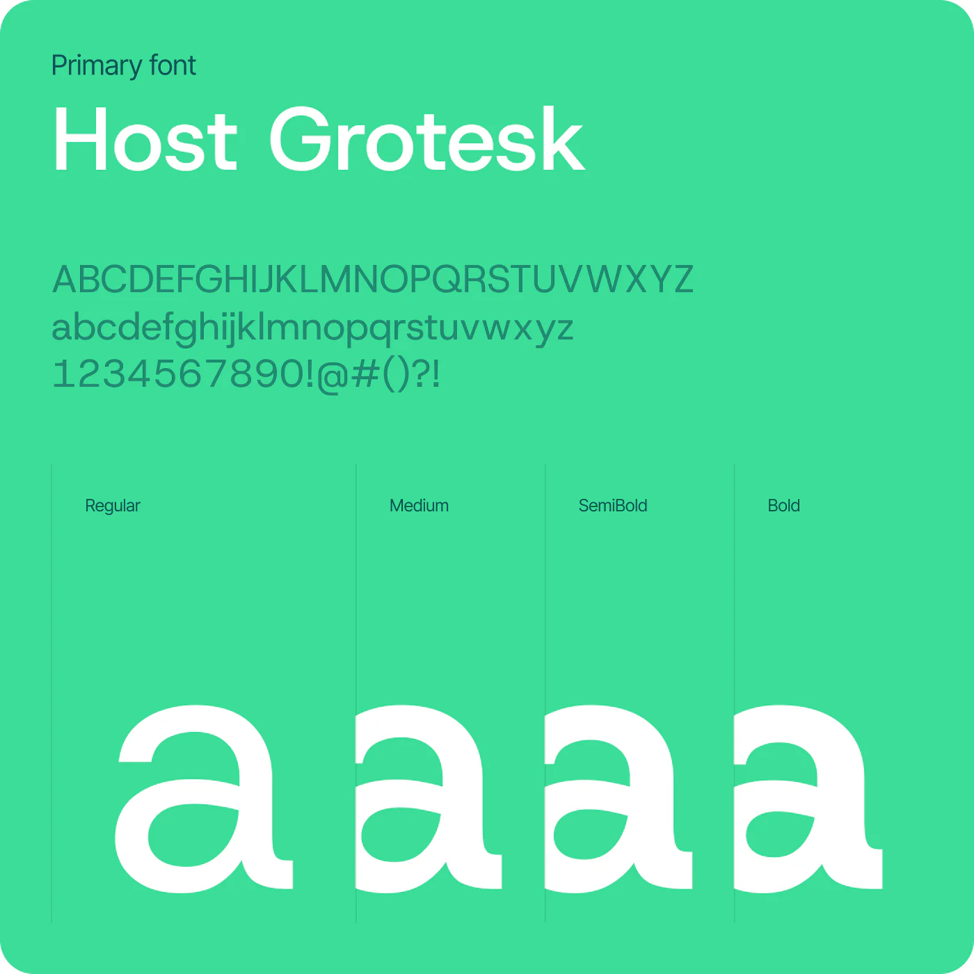 econdary typeface and font weights used across the visual identity