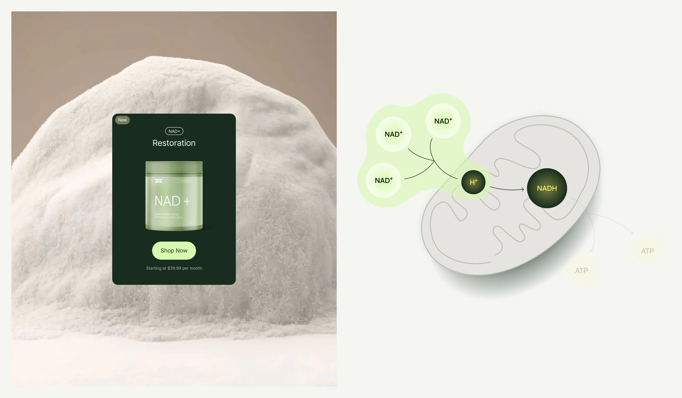 NAD+ product card and science illustration