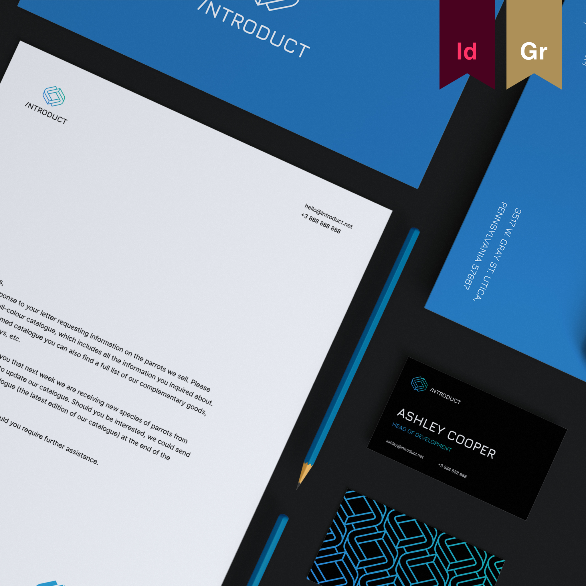 brand identity materials displayed alongside its Behance InDesign award
