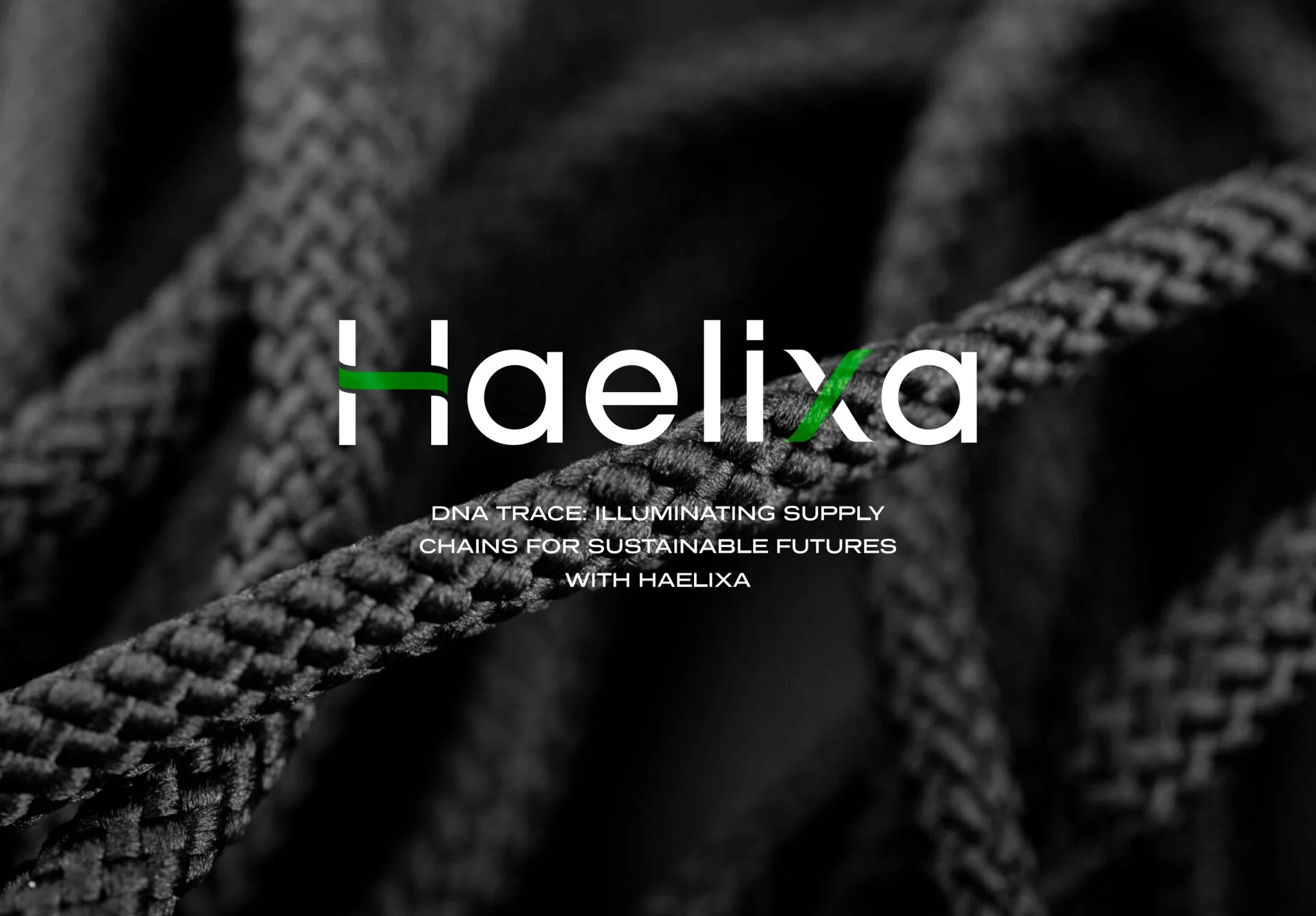 Haelixa | Hero image | Case Study Haelixa | Hero image | Case Study