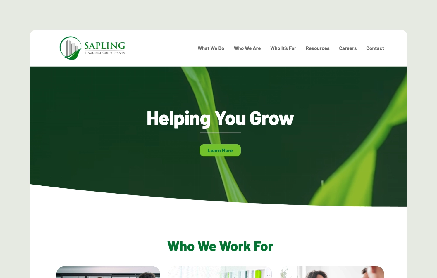 Sapling Financial Consultants Sapling Financial Consultants homepage with green plant background
