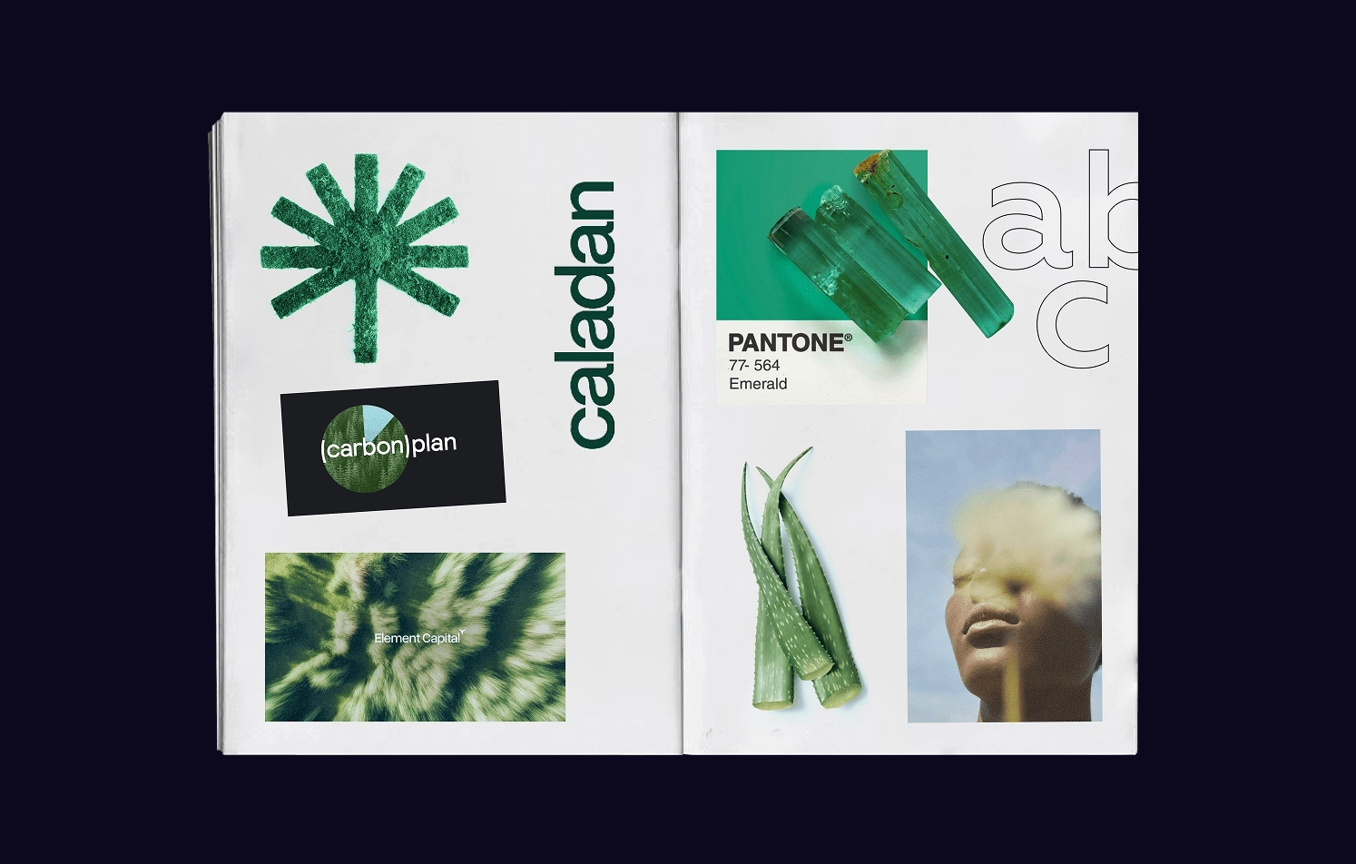 Branding moodboard with emerald Pantone and organic visuals Green-themed branding moodboard with natural elements