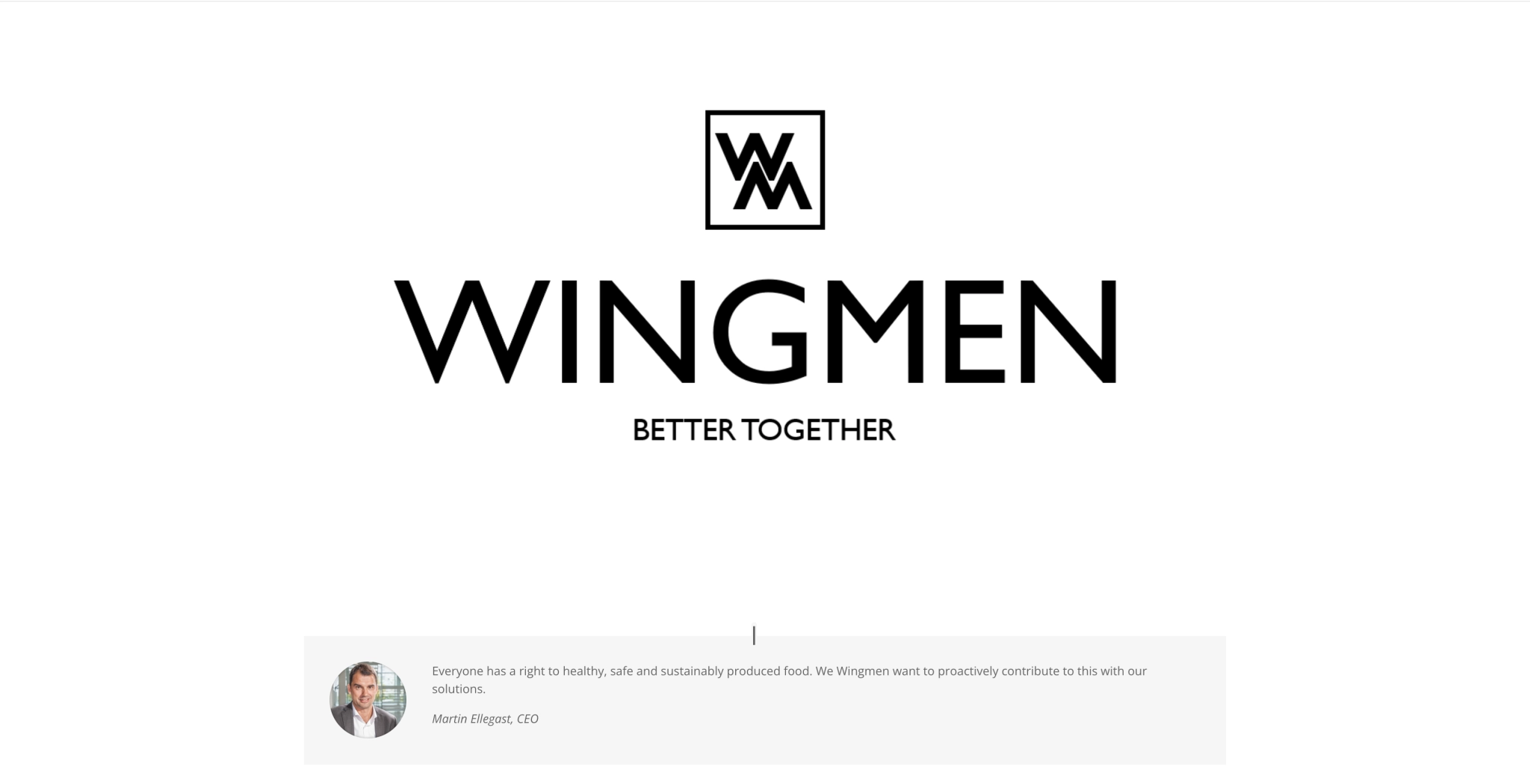 Wingmen Company Logo Wingmen logo with “Better Together”
