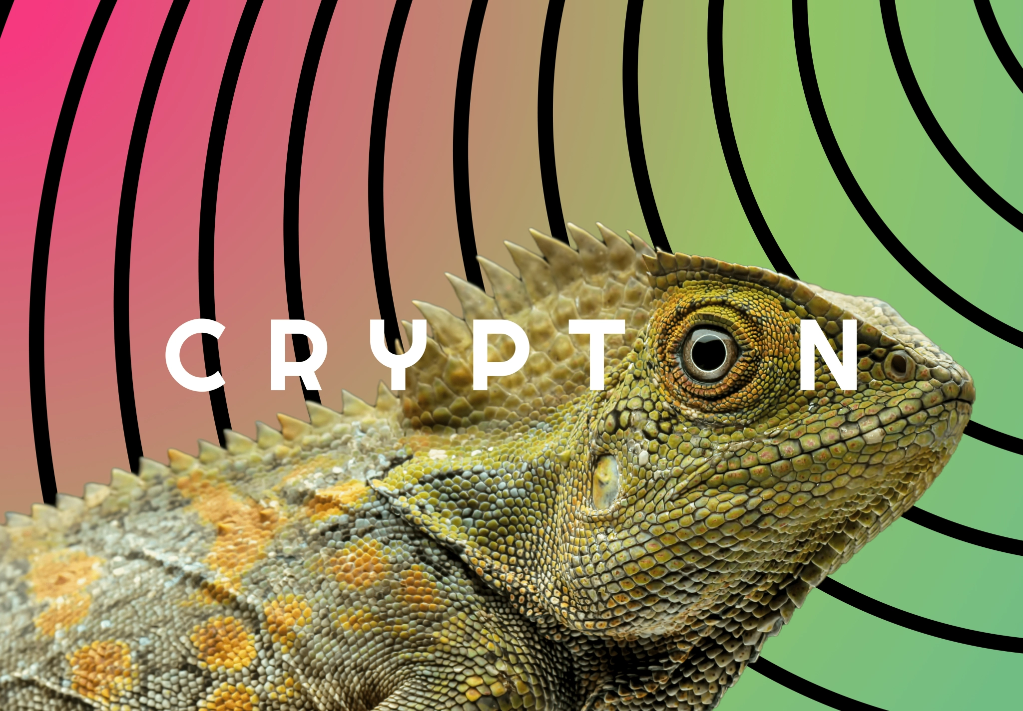 Crypton Chameleon Design Colorful chameleon with Crypton logo