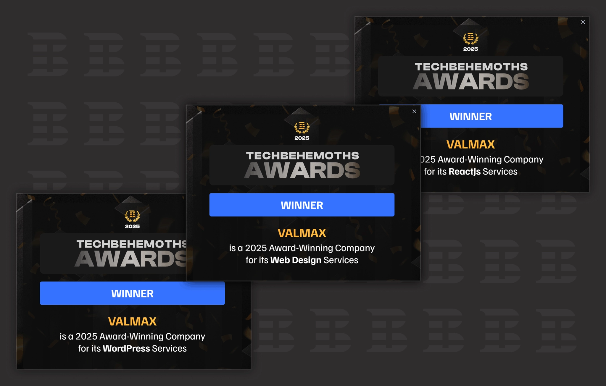 VALMAX Web Design Award